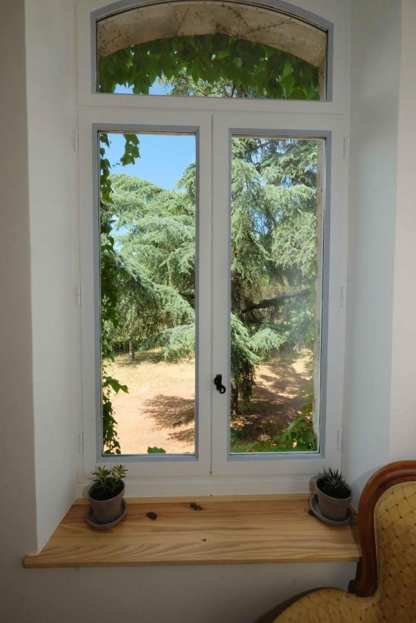 Villa Des Antiquaires Bédarieux Εξωτερικό φωτογραφία